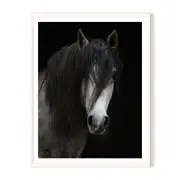 Horse Framed Wall Art - White