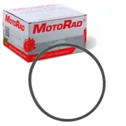 MotoRad MG186 Coolant Thermostat Seal for RG-581 P2289 MG186EA F4TZ8255A lm