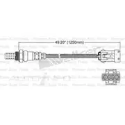 PAT Oxygen Sensor - EGO-228