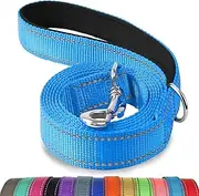 Joytale Dog Lead for Large and Medium Dogs, Double-Sided Reflective Nylon Lead with Padded Handle, 1.8 m x 2.5 cm, Blue