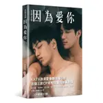 2020因為愛你[9折]11100901213 TAAZE讀冊生活網路書店