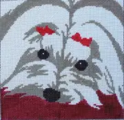Maltese Hand Painted Needlepoint Canvas