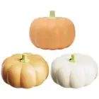 Divided Serving Tray with Toothpick Storage Fruit Plate with 3 Compartment