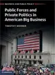 Public Forces and Private Politics in American Big Business