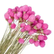 60 Pcs 16 Inch Dried Flowers for Vase Mini Pine Ball Flowers Rose Red