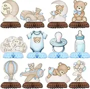 We Can Bearly Wait Baby Shower Decorations - Blue Teddy Bear Honeycomb Decorations and Balloon Bear Decorations