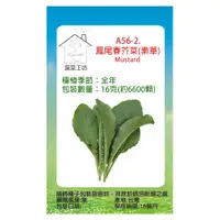 在飛比找PChome24h購物優惠-【蔬菜工坊】A56-2.鳳尾春芥菜(素華)種子