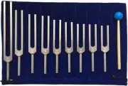 Chakra Tuning Fork Set for Healing 9 PCS Tuning Forks with Reflex Hammer and Sto