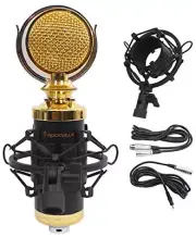 Rockville RCM02 Pro Studio Recording Condenser Microphone Mic+Metal Shock Mount,