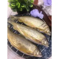 在飛比找蝦皮購物優惠-母香魚/6P/香魚/1公斤