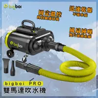 在飛比找松果購物優惠-父親節首選 bigboi PRO 雙馬達吹水機 吹風機 車用