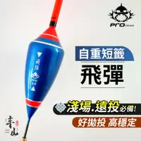 在飛比找蝦皮購物優惠-【丰山🎣台灣釣具品牌 普羅精工】自重浮標 飛彈 短標 自重2