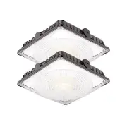 100W LED Canopy Lights 2Pack, Selectable Wattage 100/80/60W 3CCT 3000/4000/50...