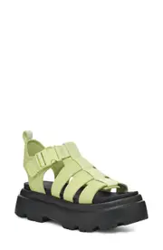 UGG(r) Cora Platform Sandal in Caterpillar at Nordstrom, Size 7.5