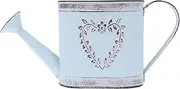 YOSADIER Iron Watering Can Vintage Vase Durable Metal Flowerpot for Plants Decorative Watering Tool for for Housewarming and Special Occasions