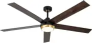 Ceiling Fans with Lights Remote & APP Control, 6-Speed Reversible Black