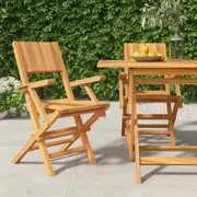Folding Garden Chairs 2 pcs 55x61x90 cm Solid Wood Teak vidaXL