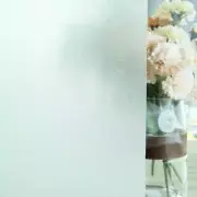 Non-Adhesive Window Film Oculus Static Cling Decorative Privacy Frosted Film