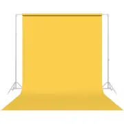 Savage Widetone Sand Yellow Studio Photography Prop Backdrop Background Paper