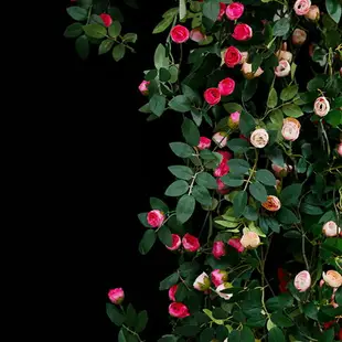 仿真玫瑰花藤吊頂藤椅空調水管道拱門隔斷假花藤條裝飾薔薇假花