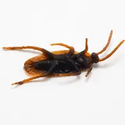 150 pc Prank Funny Trick Joke Toys Lifelike Model Simulation Fake Cockroach Kids Children Magic Props