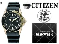 在飛比找Yahoo!奇摩拍賣優惠-【威哥本舖】星辰CITIZEN全新原廠貨 EP6044-01