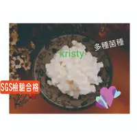 在飛比找蝦皮購物優惠-🎀Kristy《行家首選》milk kefir  奶克菲爾 