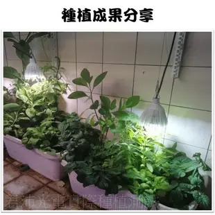 【君沛國際】植物夾燈 全光譜 LED 50瓦 夾式 植物生長燈 台灣製造 保固二年