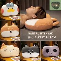 在飛比找蝦皮購物優惠-Bantal Nyenyak Sleepy Cooling 