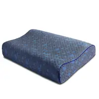 在飛比找樂天市場購物網優惠-枕頭 記憶枕 石墨烯 健康枕頭 低溫遠紅外線功能 釋壓護頸 