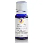10ml Gumleaf Essential Oil Blend - Outback - Pure Certified Australian Oil
