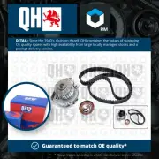 Timing Belt & Water Pump Kit fits FIAT PALIO 178 1.2 1998 on Set QH 6000629059