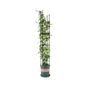 NNEAGS 163cm 4-Bar Plant Frame Stand Trellis Vegetable Flower Herbs Outdoor Vine
