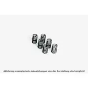FERODO Clutch spring set FSS0201