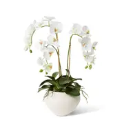 E Style Phalaenopsis Deluxe Theo Pot Artificial Tabletop Decor 70cm White