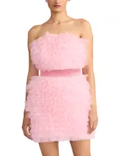 Zac Posen Wicked x Zac Posen Textured Tulle Mini Dress