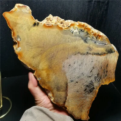 1691G Natural Golden Hair Rutilated Quartz Crystal Flat Healing +support WD1286