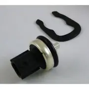 RAE Coolant Temperature Sensor - CS893