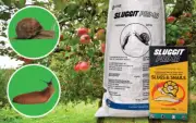 Sluggit Prima 30 Snail & Slug Bait Pellets 25kg Pest Control Gardening Yard