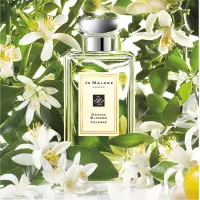 在飛比找蝦皮購物優惠-試香【Jo Malone】橙花 香水Orange Bloss