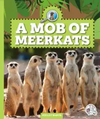 在飛比找博客來優惠-A Mob of Meerkats