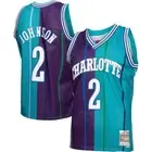 Charlotte Hornets Larry Johnson Mitchell & Ness Teal Split NBA Swingman Jersey