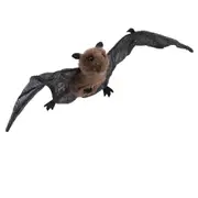 Mini Bat Finger Puppets, Pack of 3