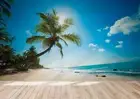 3D Tropic Seascape Wallpaper Wall Mural Removable Self-adhesive 853
