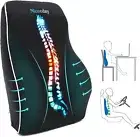 Lumbar Support Back Cushion Pillow - Memory Foam Mesh Cover Office Chair Cars
