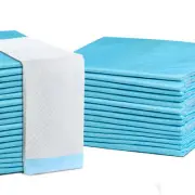 NNEDSZ 400pcs Puppy Dog Pet Training Pads Cat Toilet 60 x 60cm Super Absorbent I