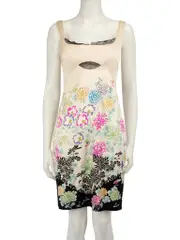 Floral Print Lace Trim Mini Dress