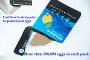 Fish food eggs for 500ml of water -1 pack - With Hatching Salt