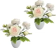 NoriStyle Small Artificial Flowers for Decorations, 2 Packs Potted Fake Flowers for Desk Shelf Bathroom Home Winter Indoor Kitchen Coffee Table Decor (Pink)
