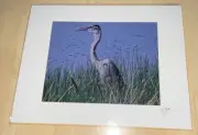 Signed Art Photograph, Bird-Heron Or Egret, S. Lusz—More Listed